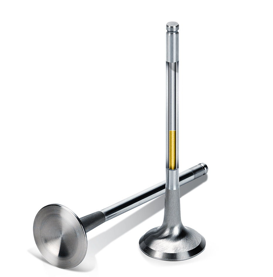 Sodium Filled Valve